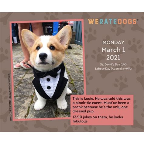 We Rate Dogs Calendar 2023 Customize and Print