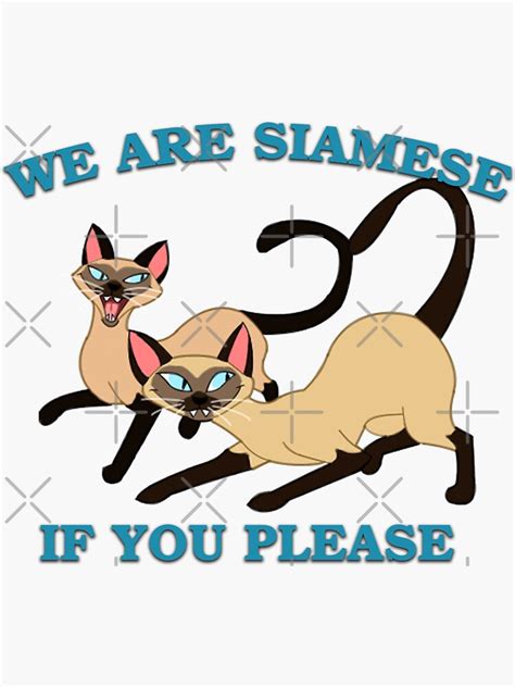 We are siamese if you please. Things To Know About We are siamese if you please. 