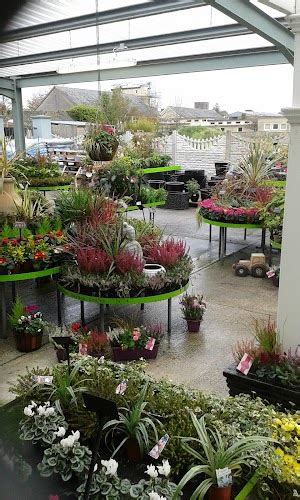 We have a selection of... - Listowel Garden Centre and Cafe