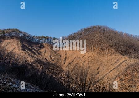 We hypothesize that intense logging