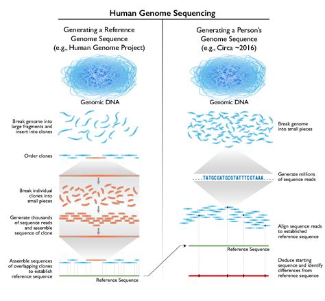 We study the genome-environment