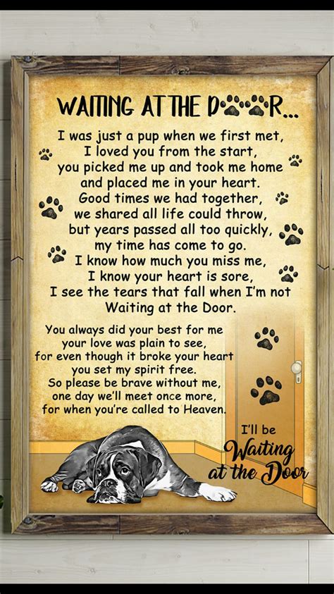 We take our time to understand your needs regarding your future furbaby, and its here waiting to go home with you