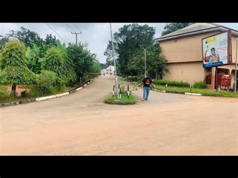 We visited the home of Sir Emeka Offor in the village ...