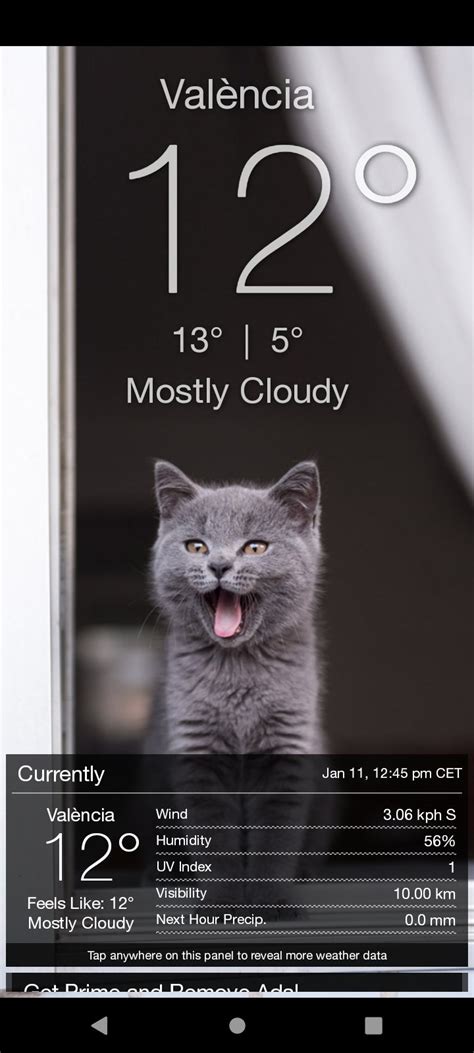 Weather Kitty App Widget W APK Download for Android 