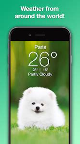 Weather Puppy App Widget W APK Download for Android 