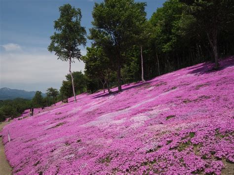 Weather Takinoue (Hokkaidō Region) - Detailed bulletin