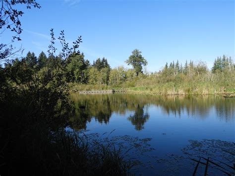 Weather in Scriber Lake ⛅ (Washington), United States - Weather ...