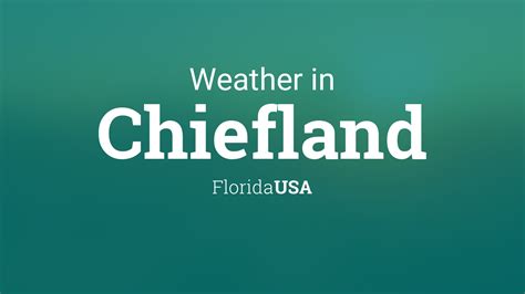 Tomorrow, the maximum temperaturein Chiefland, Florida, will be 59°F (15°C), while the minimum temperaturewill be 26.6°F (-3°C). The maximum temperature …. 