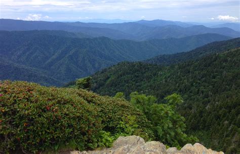 Get the monthly weather forecast for Gatlinburgh, TN, including daily high/low, historical averages, to help you plan ahead. . 