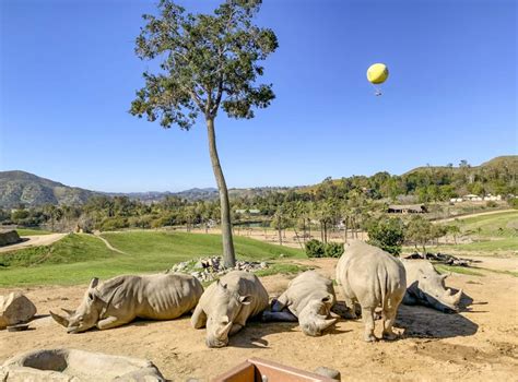The San Diego Zoo pioneered cageless exhibits and offers travele