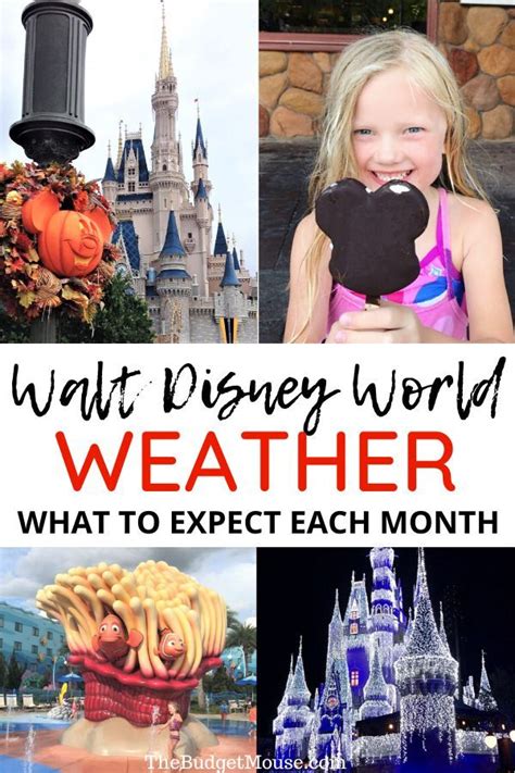 Weather in walt disney world tomorrow. Justin Topa has been a staff writer for WDW News Today since November 2022. A native of Scranton, Pa., Topa is almost always daydreaming about Walt Disney World. On days when he is not rope-dropping or resort-hopping, you could probably find Topa sulking at home with his two dogs. You can e-mail Topa at Justin[email protected]. View all posts 