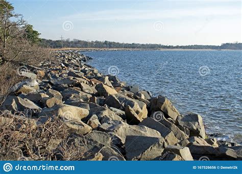 Here are upcoming winter nature walks and seal-watching boat rides the American Littoral Society hosts at Sandy Hook: Carly Baldwin , Patch Staff Posted Wed, Jan 11, 2023 at 11:31 am ET | Updated .... 