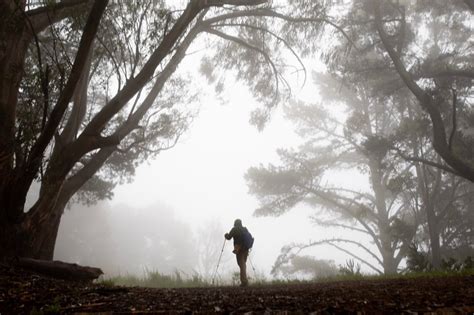 Weather service warns again of dense fog in the Bay Area
