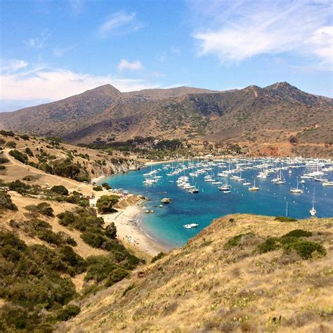 The weather on Catalina Island is described as a mild subtropical climate with warm year 'round temperatures. The average high temperature during winter months on Catalina Island is 63 and the average low temperature is 50 degrees Fahrenheit.. 
