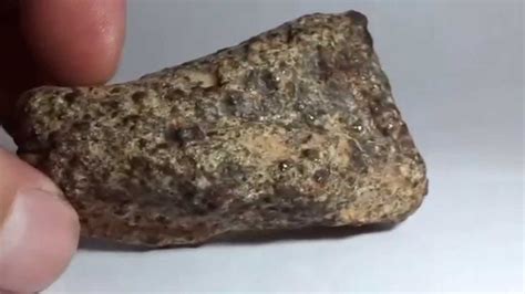 Most of the fusion crust was worn off the weathered meteorite, revealing interior cracks from the shattering of its parent asteroid. Dan Lockwood, the University of Calgary student who was the Prairie Meteorite Searcher for 2001, examined the rock at a co-op store in Carman, Manitoba. Researchers suggested the other half of the meteorite might ...