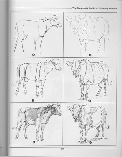 Weatherly guide to drawing animals uk. - Clave de respuestas dador guía de estudio.