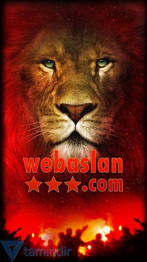 Web aslan