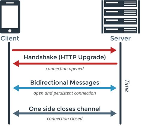 WebSockets .NET Client C# - C# WebSocket Client