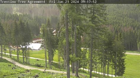 Webcam Foresta di Paneveggio - Trentino Tree Agreement