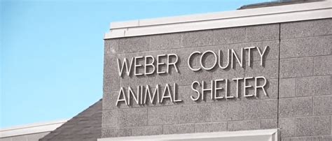 Weber county animal rescue. 29 ต.ค. 2553 ... Beginning Monday, the Carol Conroy Browning-Ogden Animal Shelter at 1490 Park Blvd. will stop taking new animals. And through Nov. 15, a cat-and ... 