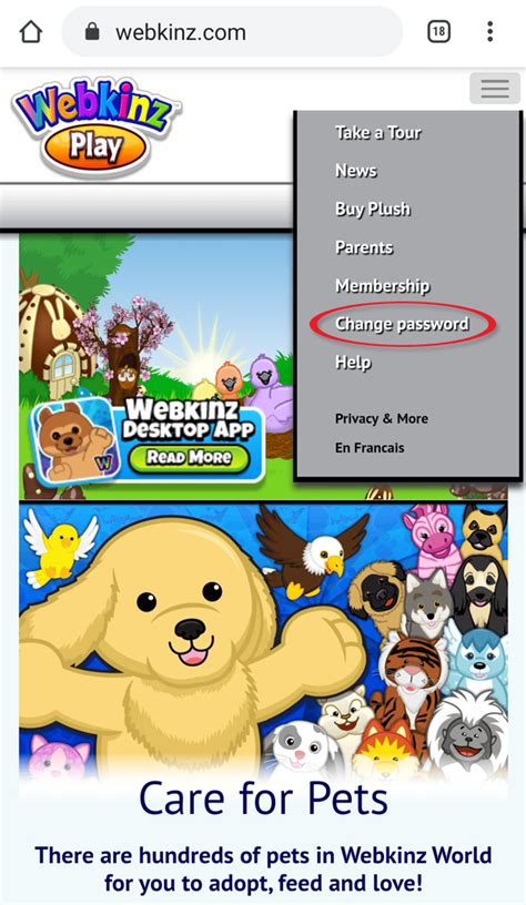Webkinz change password. Click on the THINGS TO DO menu and select "Me and My Pets" — you'll see a new tab that says "My Profile.". Click on that, and then click the "Edit Profile" button. Now you can change or hide your widgets. Some of the widgets are linked to ones on My Page - hold your mouse over the widget and a tooltip will appear to let you ... 