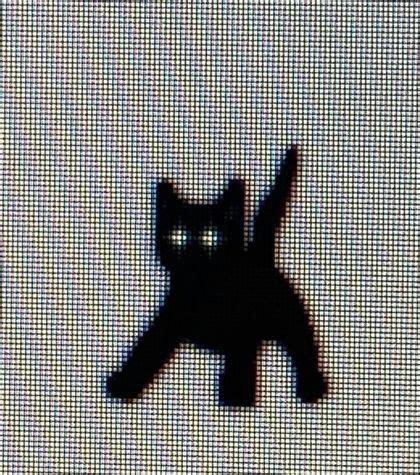 Webkinz666 Leaks (SEX) 🍆