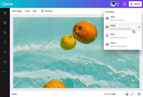 Convert your WEBP files to PNG format with this online tool. You can adjust the quality, size, color filter, DPI and crop options of the output image..