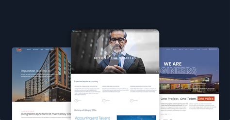 Website Design & Setup Sinry Academy