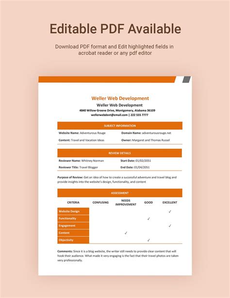 Website Review Template Download in Word, Google Docs