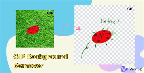 Website background animation.  Remove background from animated GIF files online for free.  Perf...