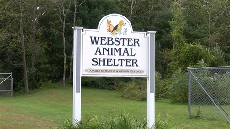 Webster animal shelter. Things To Know About Webster animal shelter. 