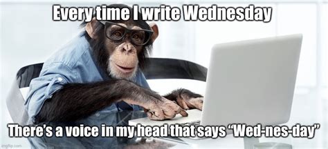 Wed nes day meme. 29M subscribers in the memes community. Memes! A way of describing cultural information being shared. An element of a culture or system of behavior… 