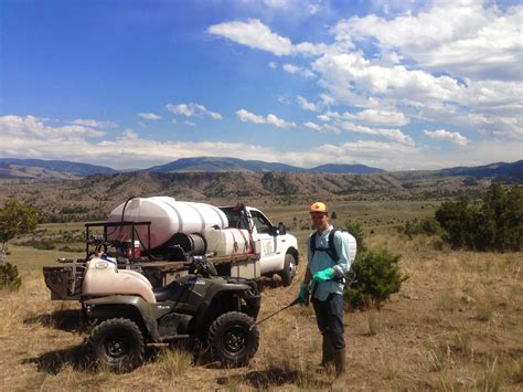 Weed Control, Tree Care, Landscaping in Bozeman, MT