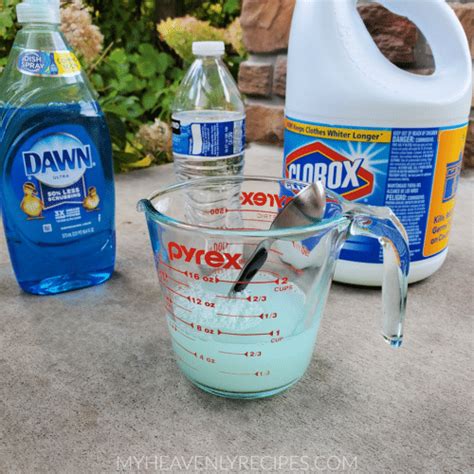 Weed Control With Bleach or Vinegar Home Guides