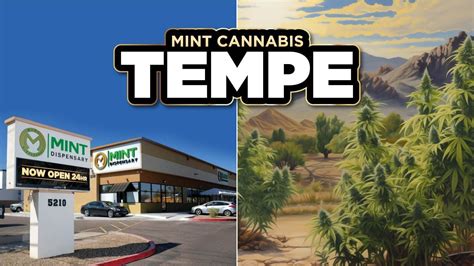 Weed Delivery in Tempe / Scottsdale, AZ - Weedmaps