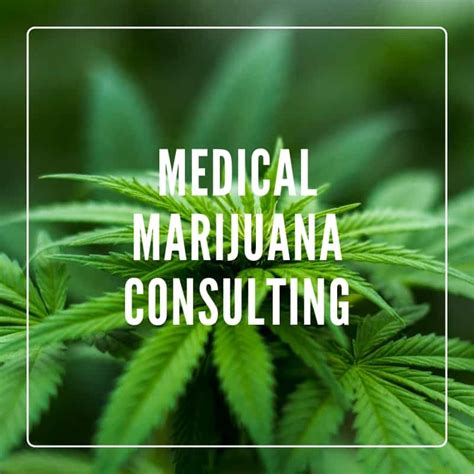 Marcum’s Cannabis Services Group provides support, objectivity and experience to operating cannabis businesses and those planning to enter and succeed within this emerging industry. We offer a broad spectrum of accounting, financial, and consulting services that give investors, owners, and ancillary businesses the insight …