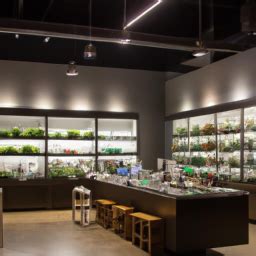 Weed dispos near me. AYR Cannabis Dispensary Clearwater is dedicated to delivering high-quality medical cannabis products. Visit us at 314 S Belcher Rd, Clearwater, FL 33765. 