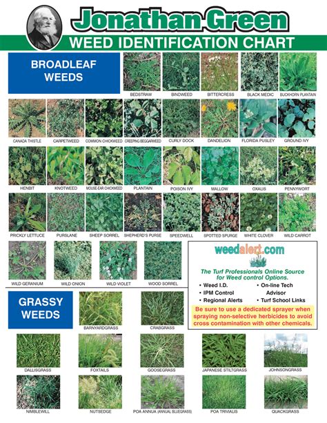 Identify Weeds by Photo: Guide To Home and Garden is a helpful resource for anyone who wants to learn how to recognize and control common weeds in their yard or garden. You can find photos and descriptions of weeds by growing zones, as well as tips on how to prevent and remove them. Whether you have dandelions, crabgrass, or clover, this guide will help you keep your lawn and plants healthy ...