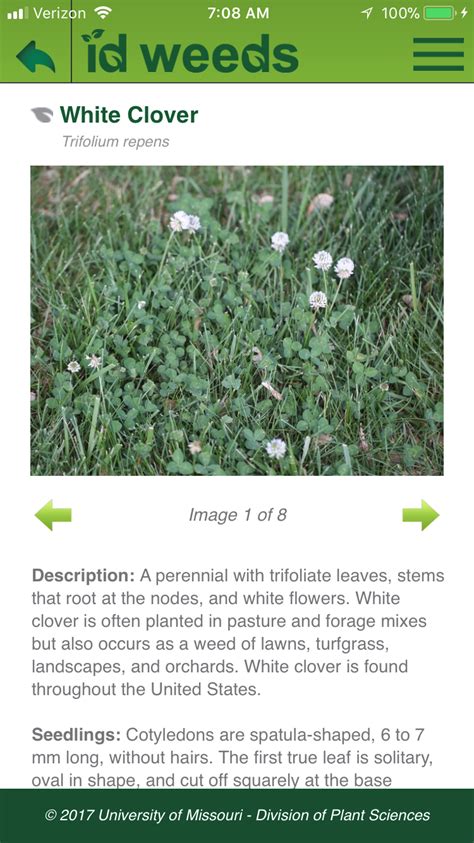 Weed identification app. Weed Images is a joint project of the University of Georgia’s Center for Invasive Species and Ecosystem Health and the Weed Science Society of America. 