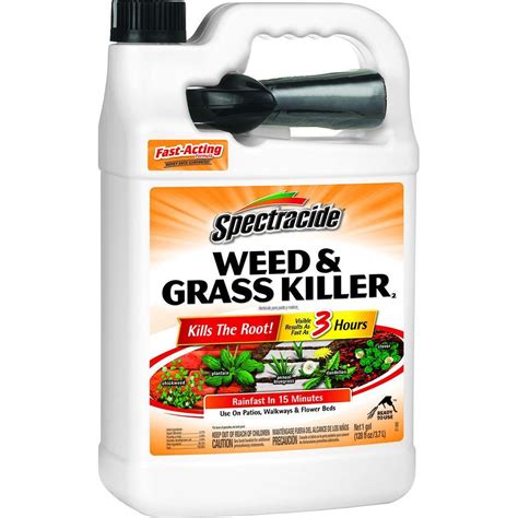 Ortho. 1 Gal. Ready-to-Use Groundclear Weed/Grass Killer. (2792) Questions & Answers (87) Hover Image to Zoom. Print. $23.97. Starts working immediately with visible results in 15 minutes. Use on walkways, driveways, under trees and in landscape beds. Kills all types of weeds and grasses.