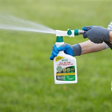 Weed spray lowes. Things To Know About Weed spray lowes. 