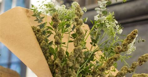 Weeds bouquet. If all that sounds too involved, Flower Co. is making cannabis bouquet kits that are “specifically designed to elevate any floral arrangement with an artistic assortment of joints.” Each kit ... 