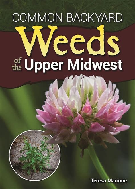 Full Download Weeds Of The Upper Midwest By Teresa Marrone