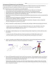 Week 2a - Identity%2C Cells %26 Membranes 3.pdf - Name ...