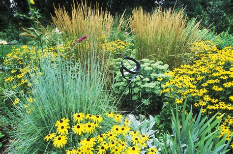 Weekend Gardening: When to transplant perennial flowers, ornamental grasses