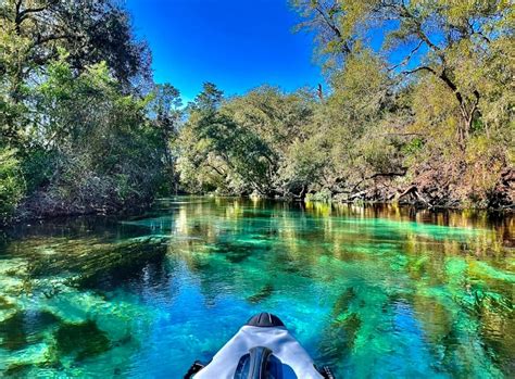 Weeki wachee florida. Experience the classic mermaid show, the deepest freshwater cave system and the natural beauty of Weeki Wachee Springs. Enjoy the water slides, the river boat … 