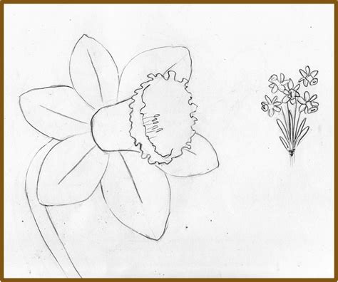 Weekly Doodles and tuts How to draw a Narcissus/Daffodil Method 5