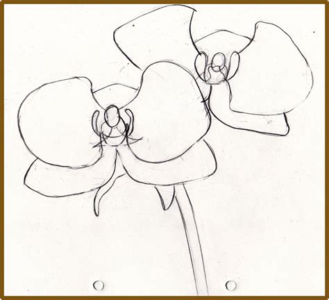 Weekly Doodles and tuts How to draw an Orchid flower method 2
