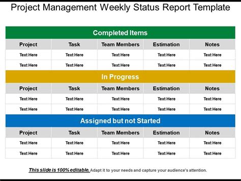 Weekly Progress Report Template Project Management