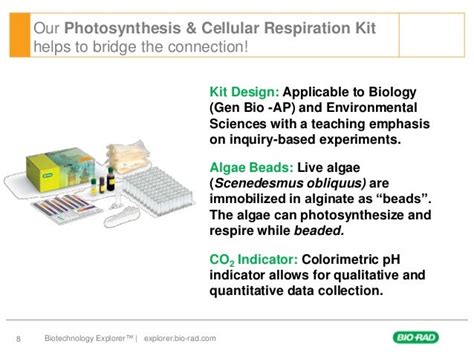 Weekly Reflective Responses AP Biology Blog